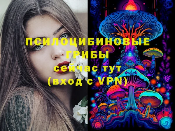 spice Алексеевка