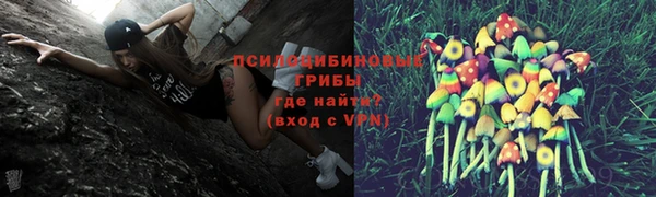 дурь Алексин