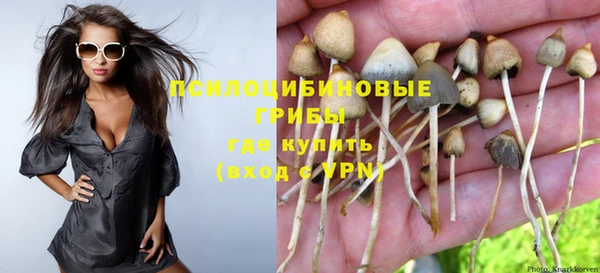 дурь Алексин