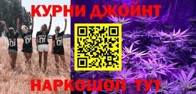 спайс Гагарин