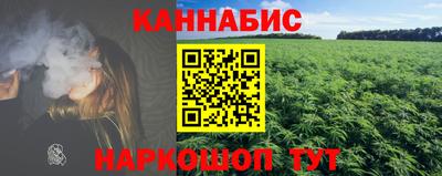 спайс Гагарин