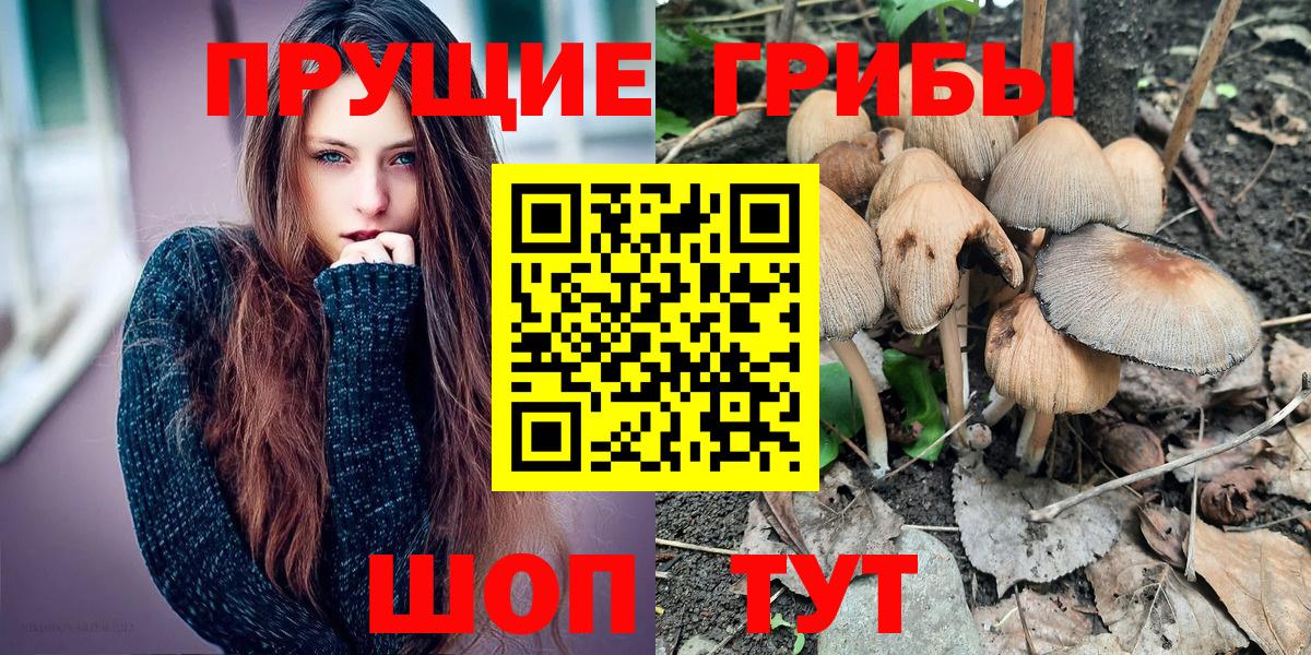 Псилоцибиновые грибы ЛСД Белореченск